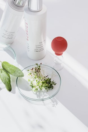 CB_Cleansing & Dust NO.I_7G8A9867_V.jpg