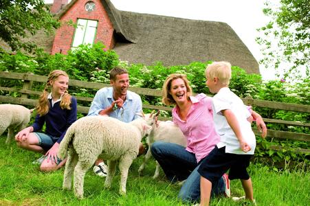 Der Countdown läuft - noch bis zum 14. November können urlaubsreife Familien am großen Familien-Casting teilnehmen
