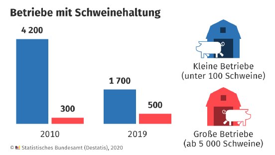 20200122-infografik-schweinebestand-2018.png