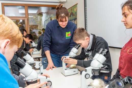 Zooschule_Forscherwerkstatt_Tierpark_Nordhorn____Franz_Frieling.jpg