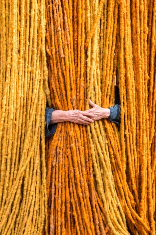 Sheila Hicks.jpg