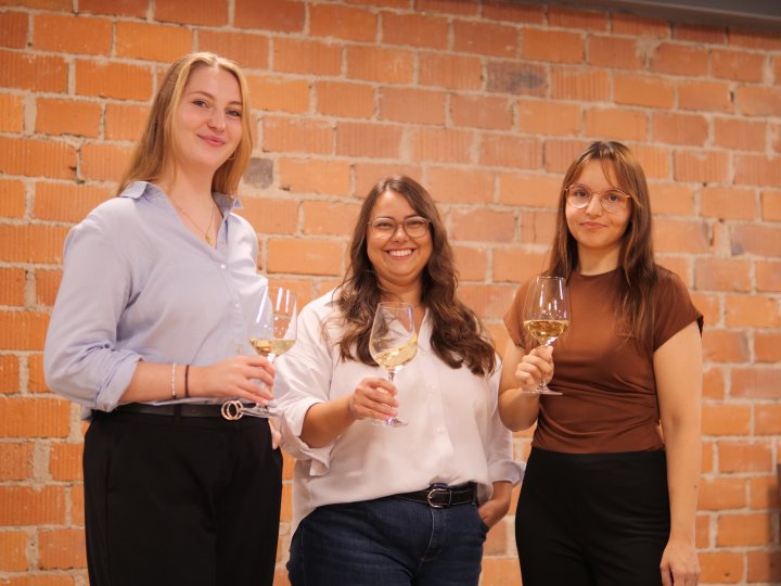 Neues Kompetenzteam Weintourismus Baden in den Räumen der Schwarzwald Tourismus GmbH