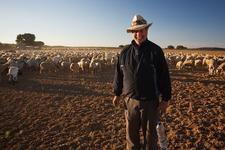 Stefan Hämmerle,Schaftrieb 