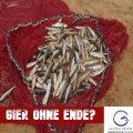 EU-Fischer: Subventionen trotz Emissionen – EU subventioniert Überfischung und Delfinmassaker im Golf von Biskaya
