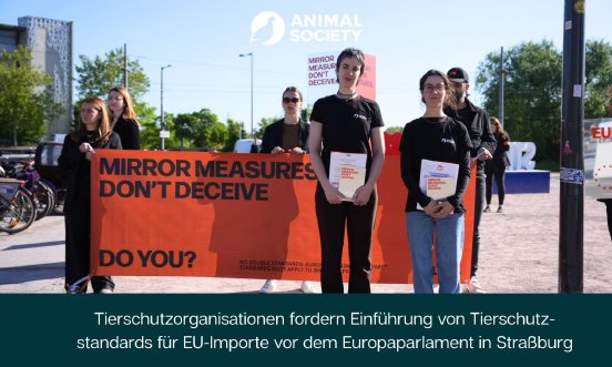 Straßburg Mirror Measures (1).jpg