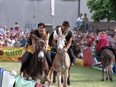Mendrisio palio asini © Ticino Turismo