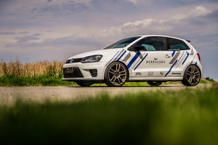 JMS_Polo_WRC_Shoxx_02.jpg