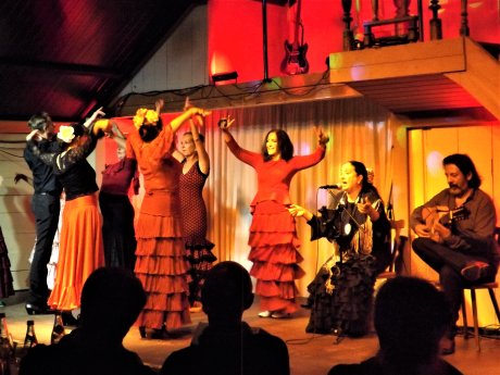 Flamenco total in Birkenried.jpg
