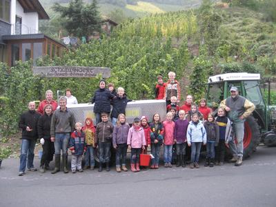 Die Kinder lernen im Schulwingert praxisnah Wertvolles über das wichtigste regionale Produkt der Moselregion.