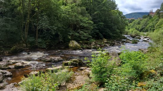 Murgtal_Lachserlebnispfad © Regierungspräsidium Karlsruhe (7).jpg