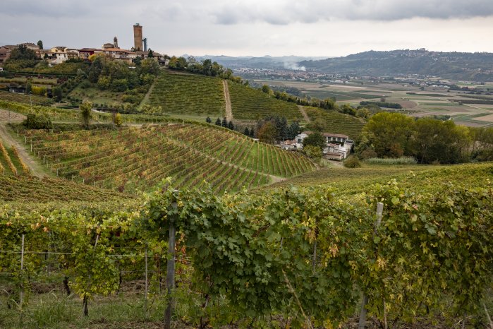 Barbaresco_Alessandro Sgarito_Archivio Ente Turismo LMR (2).jpg