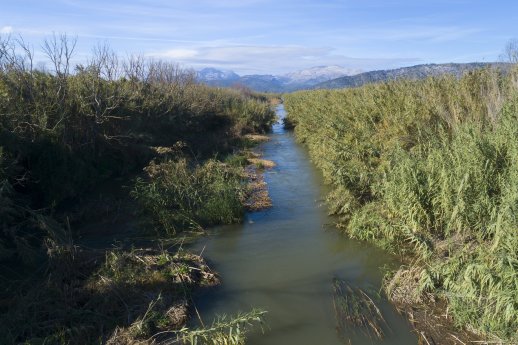 Albufera.jpg