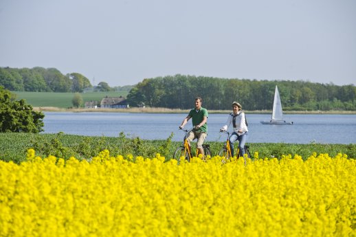 Raps-Fahrrad_3_Matzen.jpg