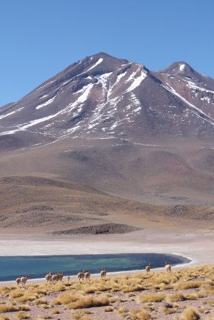 IMG_2706 (c) Lydia Dejas, Karawane.JPG