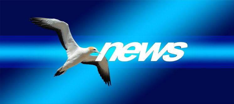 news-2660910_1920.jpg