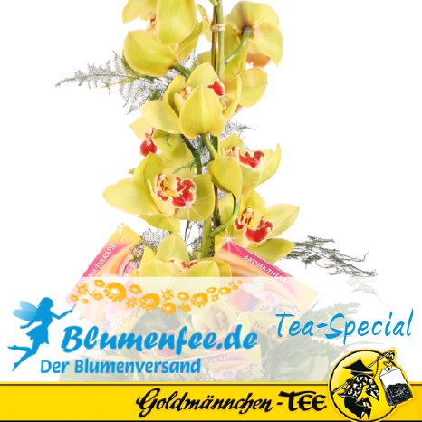Blumenfee_Goldmaenchen_Special_Blumenstrauss_Orchideen_Wellness.jpg