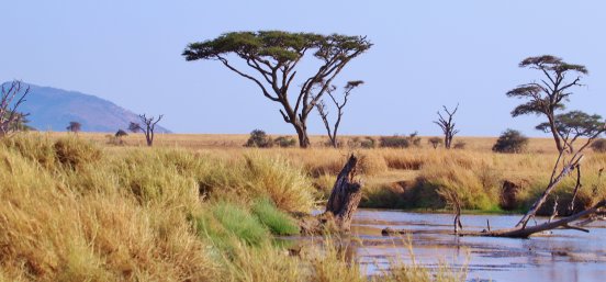 01_Serengeti 2_©_Pixabay.jpg