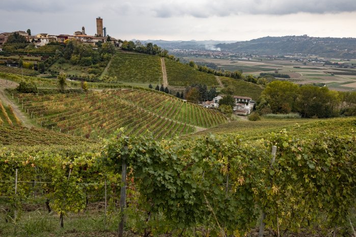 Barbaresco_Alessandro Sgarito_Archivio Ente Turismo LMR (2).jpg