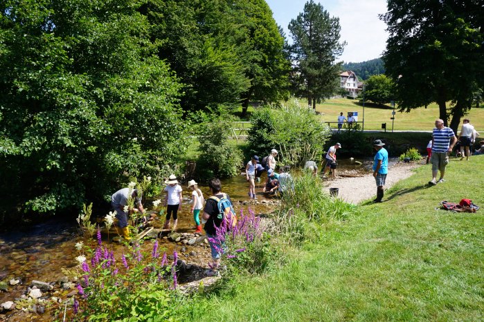 PM_1_„Goldwaschen in der Alb“ startet am 28. März.JPG