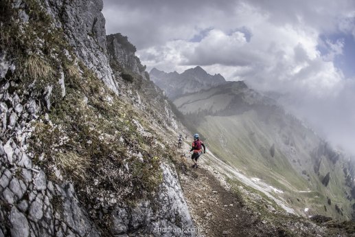 LTT_Andi Frank_klein.jpg