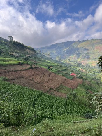 image00017 (c) Claire Zaiser, Karawane.jpeg