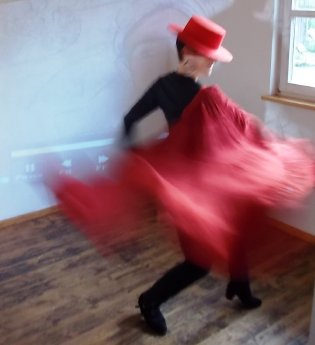 Ari-la-Chispa, Birkenried, Foto_MOYA.JPG