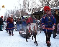 Rentiere auf dem samischen Markt klein.jpg