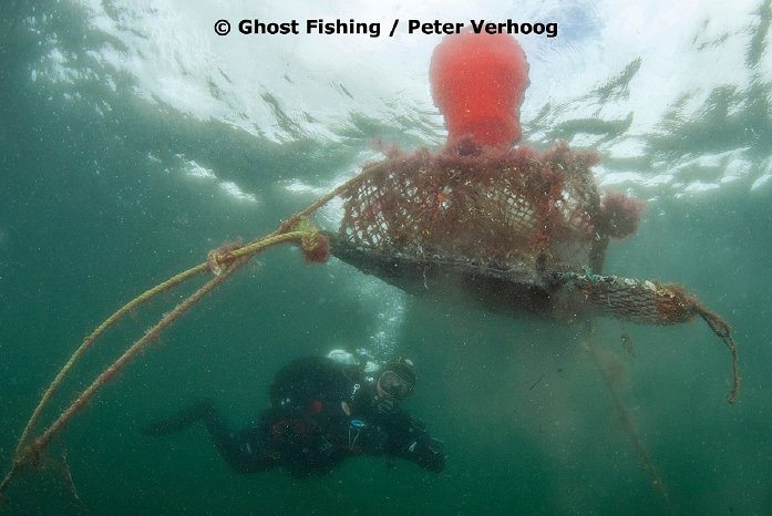 Ghost Fishing_Peter Verhoog.jpg