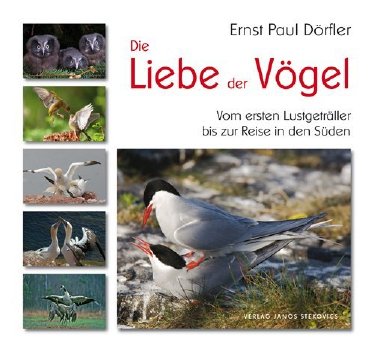 Dörfler-Liebe-der-Vögel.jpg