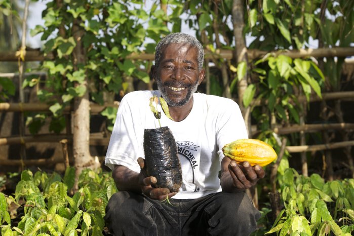 Kakaoanzucht_Baumschule_Plantage_Kamerun_KakaoAusbildung_Klaus_Wohlmann_3.jpg