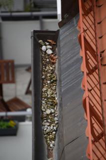 Kleine Ursache für – leider – große Auswirkungen können Wasserabführungen sein, die schon lange nicht mehr im Zuge einer Dachwartung gesäubert wurden.