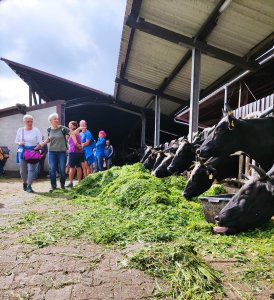 Die Milchviehhaltung ist nur ein Standbein des Demeterhofs Schwalmtal in Hopfgarten. Foto: Mario Hanisch/Vogelsbergkreis