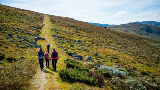 norwegen-wikinger-reisen-honorarfrei.jpg