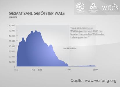 Offizielle Walfangzahlen belegen