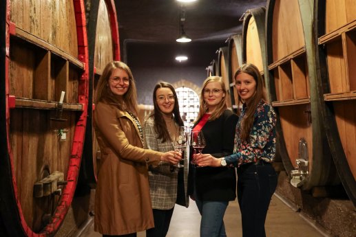 Foto 4. Anstoßen im Holzfasskeller der Winzergemeinschaft Franken_ Foto Rudi Merkl.jpg