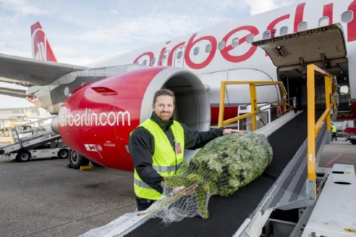 K800_AirBerlin_airberlin transports Christmas trees for free_(c) Air Berlin.JPG