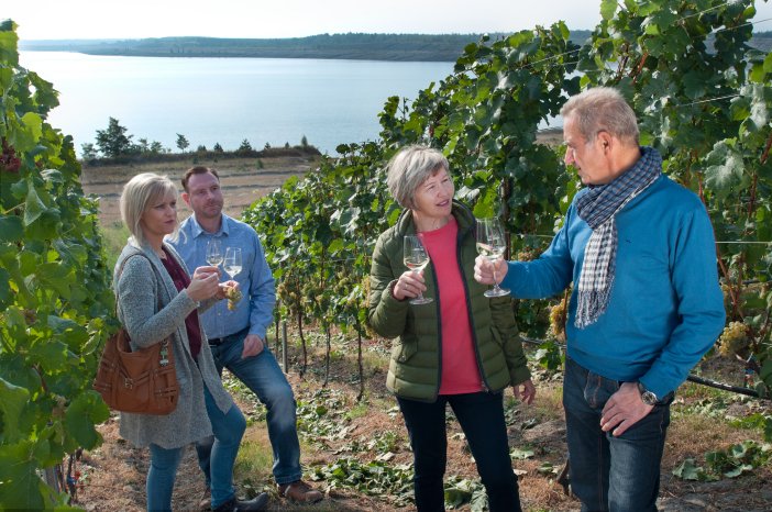 Führung und Weinprobe im Weinberg am Großräschener See c)Tourismusverband Lausitzer Seenland Nad.jpg