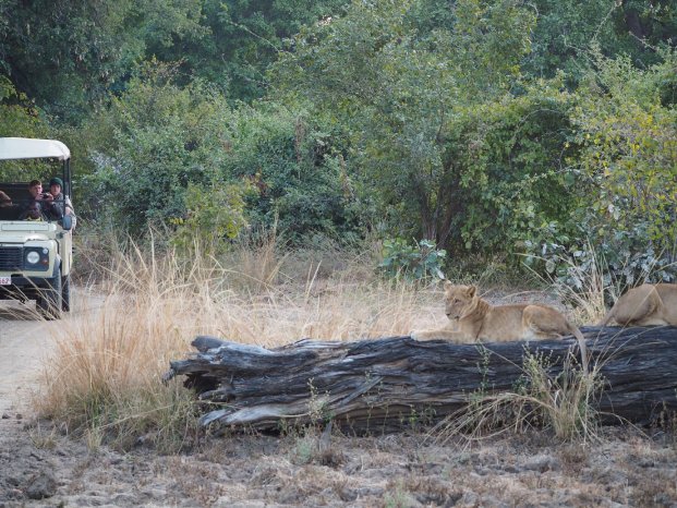 (c) Karawane, Hannah Blechschmidt (7).JPG