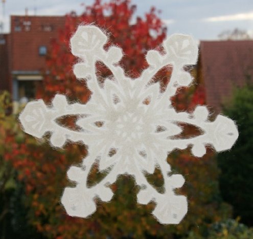 Snowflake_Freude.JPG