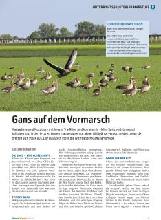 Der Landwirtschaft ganz nah - beim Lernen auf Distanz