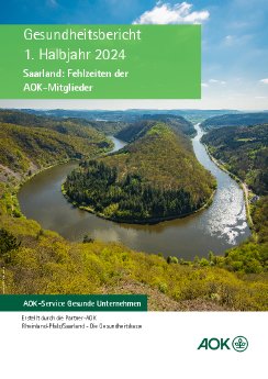 Gesundheitsbericht_1. HJ_2024 Saarland.pdf