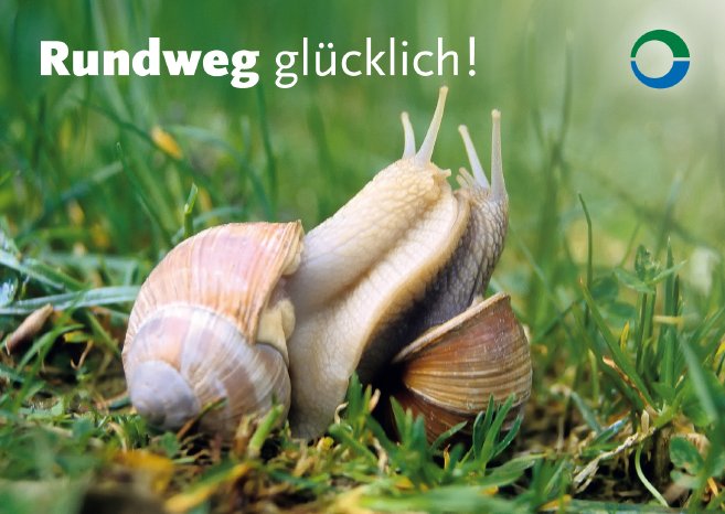 Donaubergland_Postkarte Schnecke.jpg