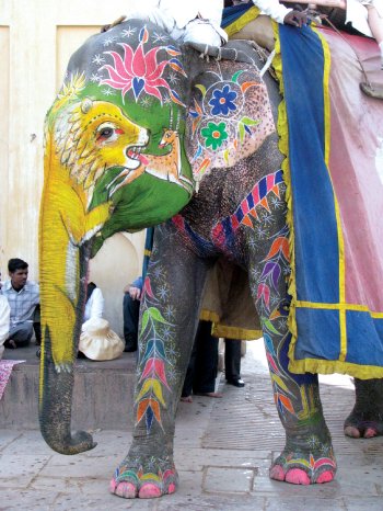 india_jaipur_amber-fort_painted-elephant.jpg
