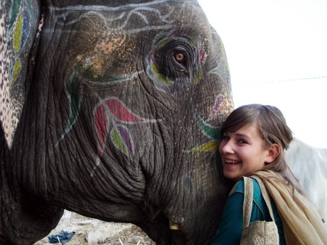 Elefant_Indien.jpg