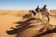 Afrika bewegt und berührt: aktive Vielfalt quer über den Kontinent