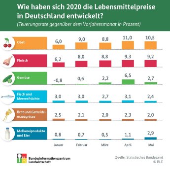 BZL_Entwicklung Lebensmittelpreise.jpg