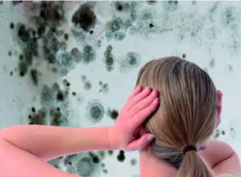 Screenshot 2025-05-08 065523.png