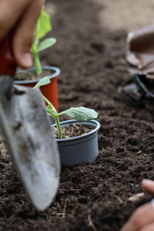 Patzer Erden_hochwertige Erde5.JPG