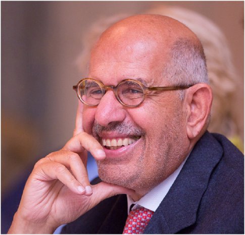 Dr. Mohamed ElBaradei.jpg