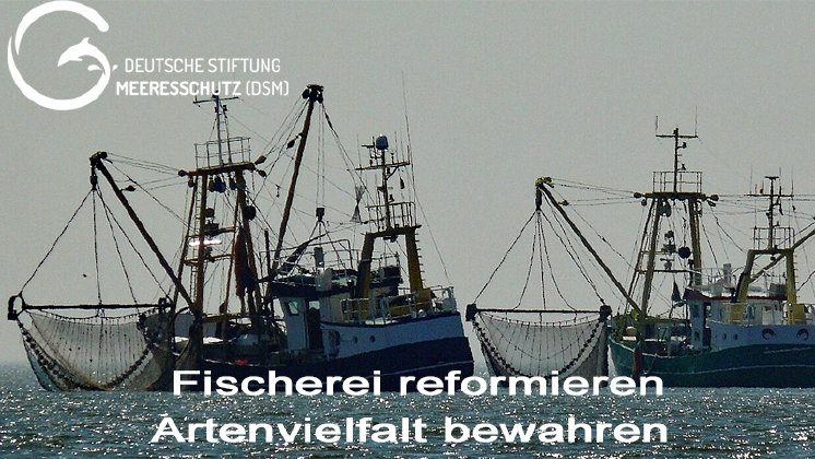 Fischerei-reformieren-Logo-800x450.jpg